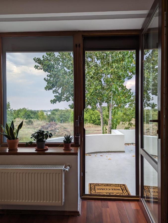 Horizon View Villa - Lakefront Terrace Suite Букурещ Екстериор снимка